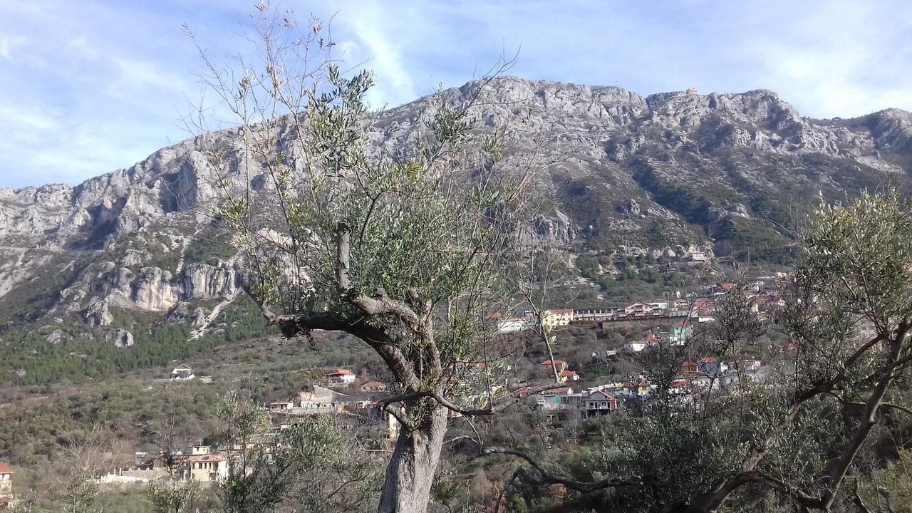 Kruja Hostel Екстериор снимка