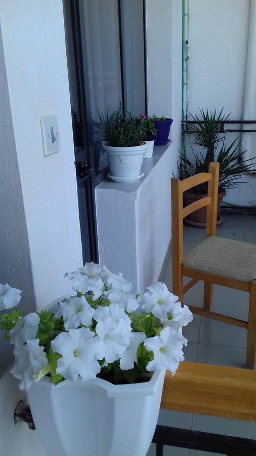 Kruja Hostel Екстериор снимка