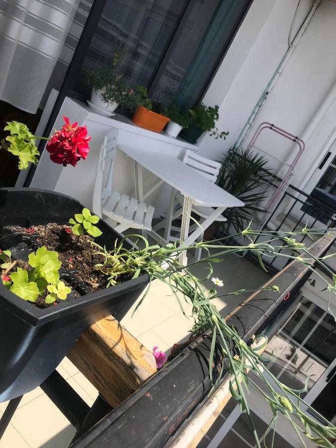 Kruja Hostel Екстериор снимка